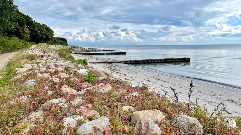 Dream home on Møn with sea and star view — photo 3