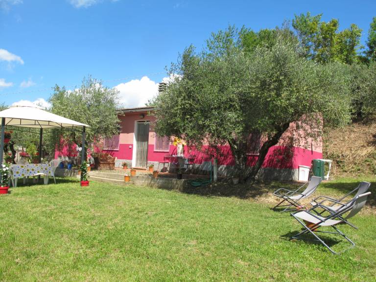 House with garden, pool & patio | Nature view — photo 2