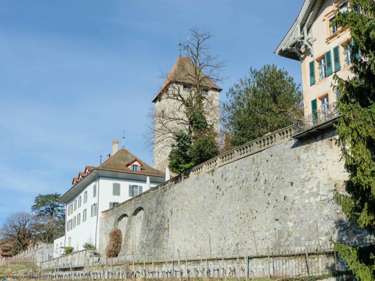 foto20