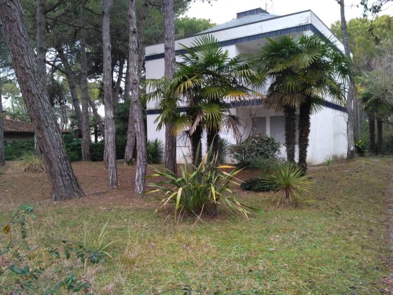 Nice holiday apartment with patio & garden | Pet-friendly — photo 3