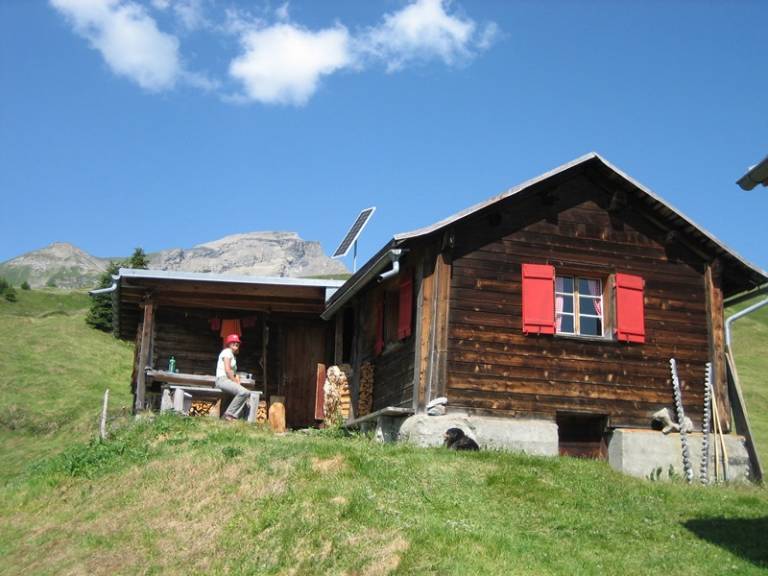 foto1