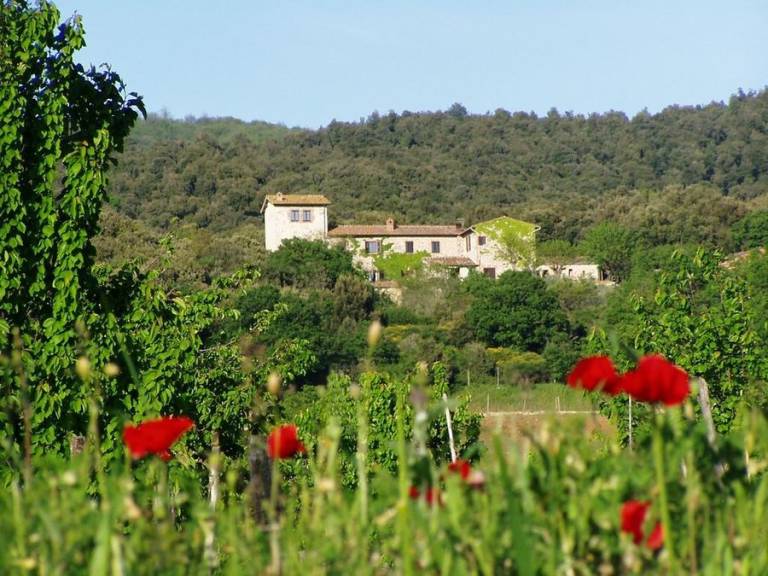 Privatzimmer Casole d'Elsa