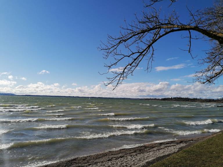 foto17