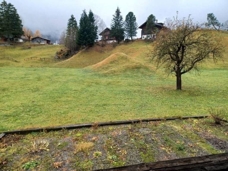 Holiday apartment | Nature view — photo 2