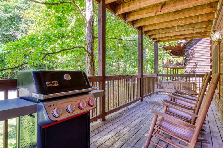Cabin with private pool — photo 3