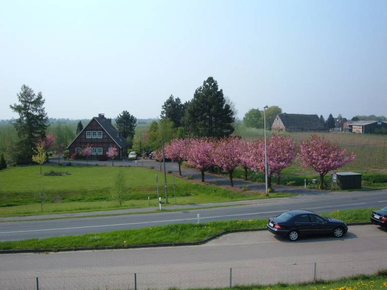 foto13