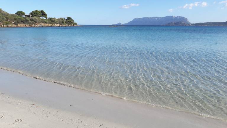 Rental apartment with terrace, barbecue & garden in Olbia