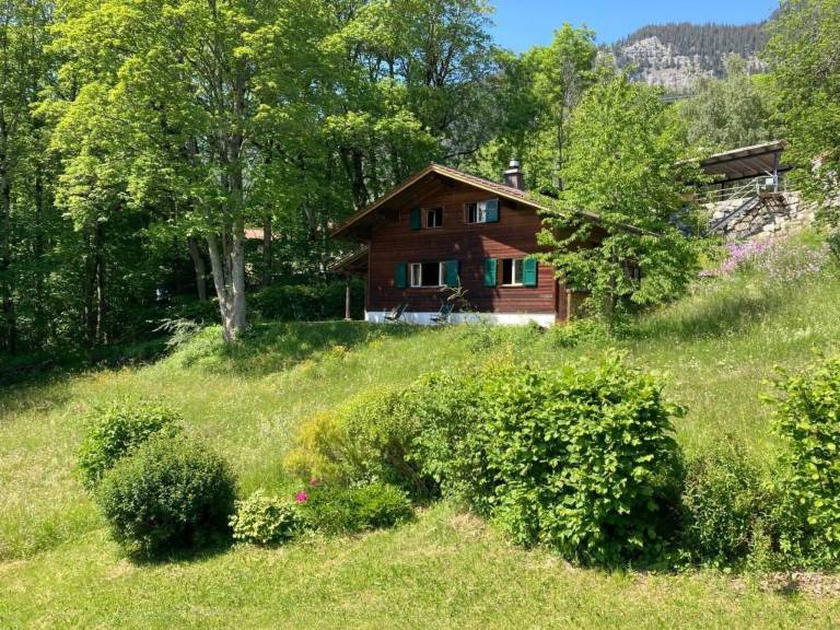 Ferienhaus mit Hund in Hasliberg f&uuml;r max. 8 Personen