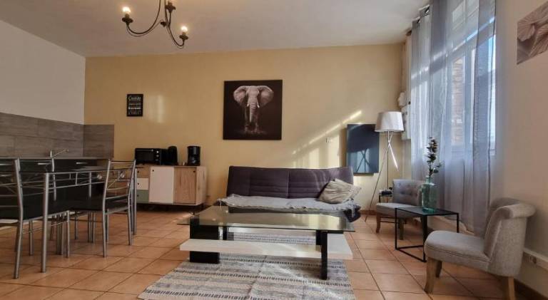 Apartment with terrace & barbeque | Good for workation in Valenciennes