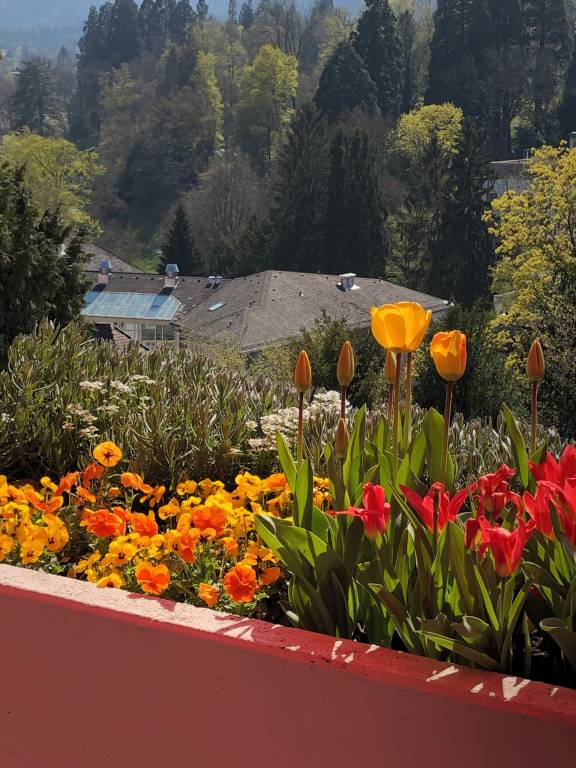 Ferienwohnung Baden-Baden