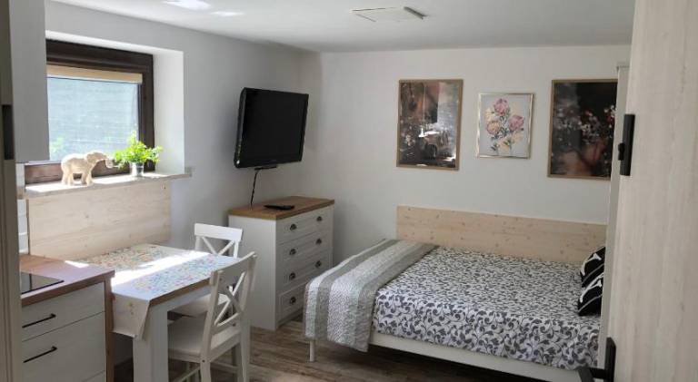 Apartament Studzieniczna