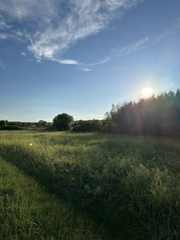 foto12