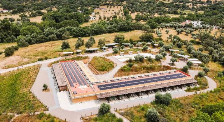 Gandum Village - Conscious Boutique Hotel in Évora