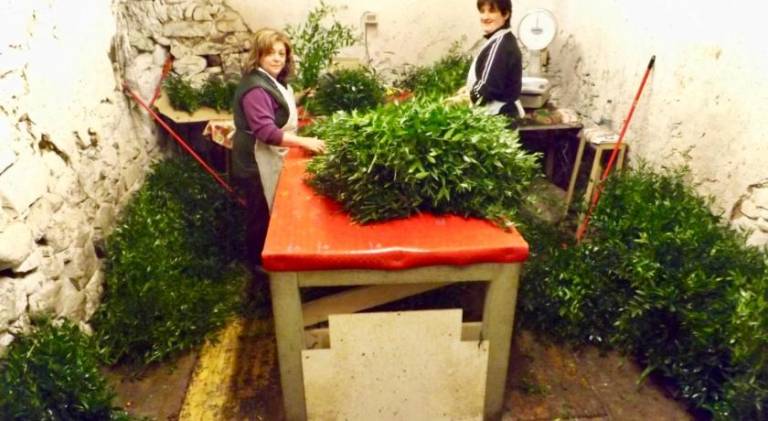foto39