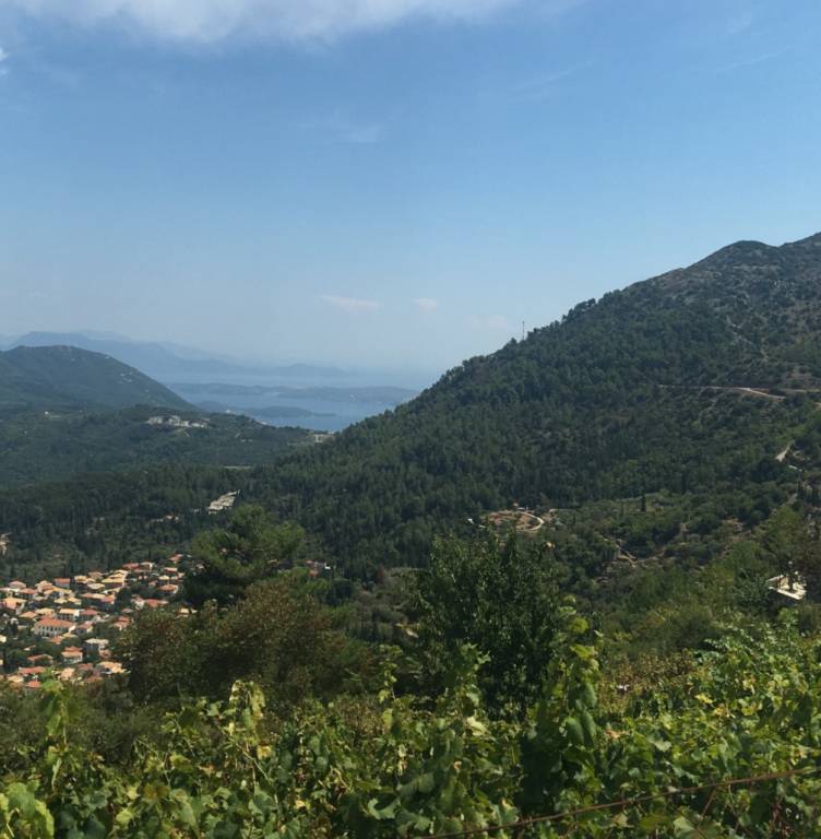 foto49