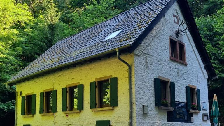 Ferienwohnung Deidesheim