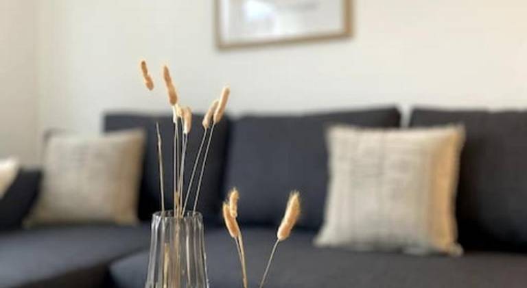 Holiday apartment | Pets allowed in Essen