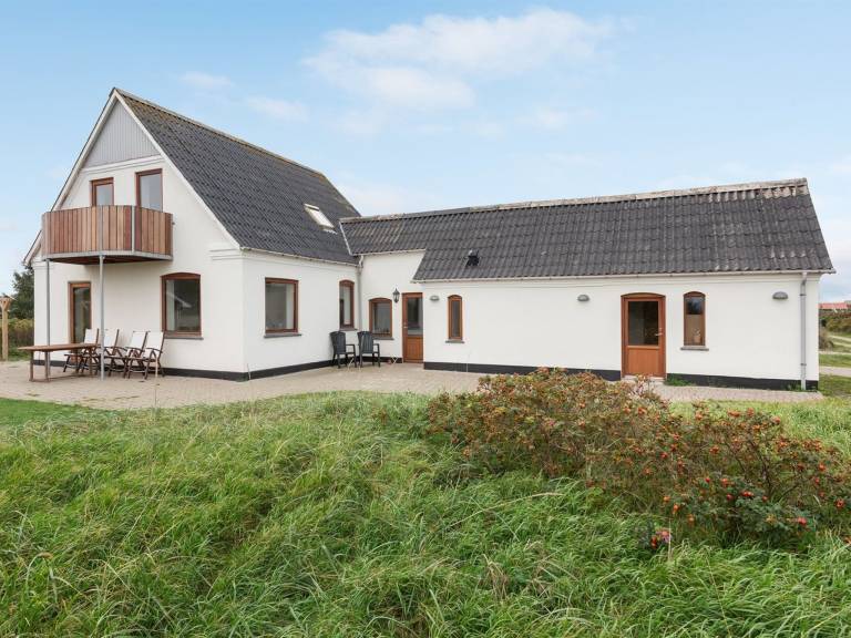 House  Hvide Sande