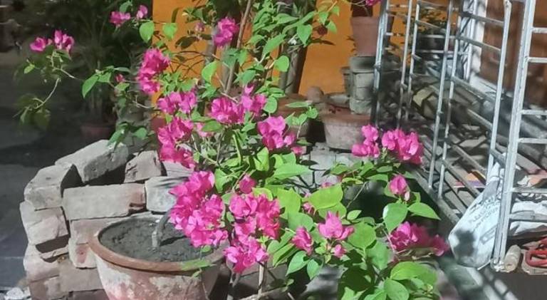 foto23
