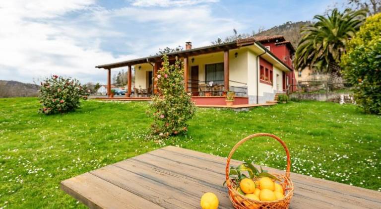 Holiday apartment with yard & BBQ in Cangas de Onís