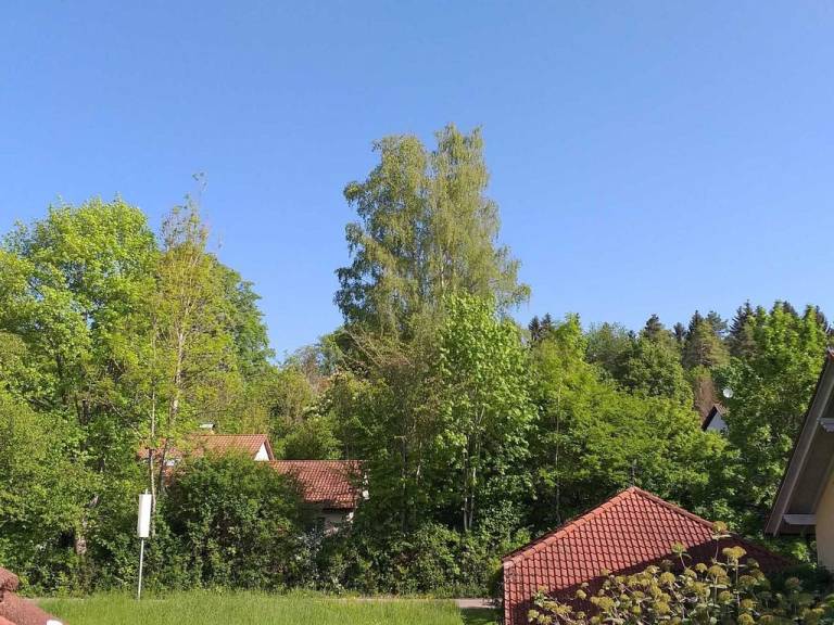 foto38