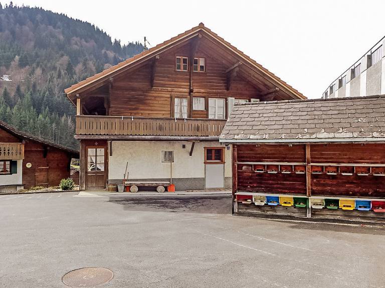 foto21