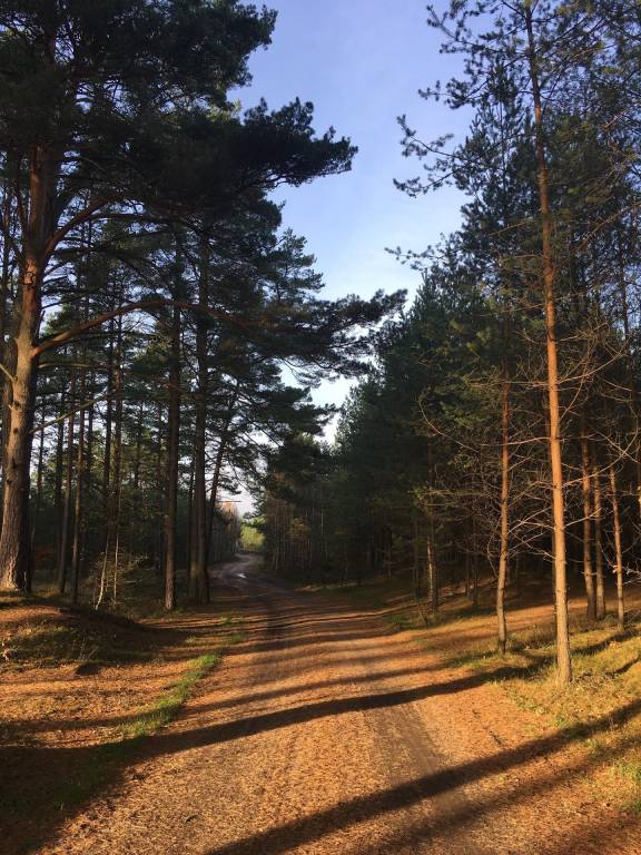 foto21