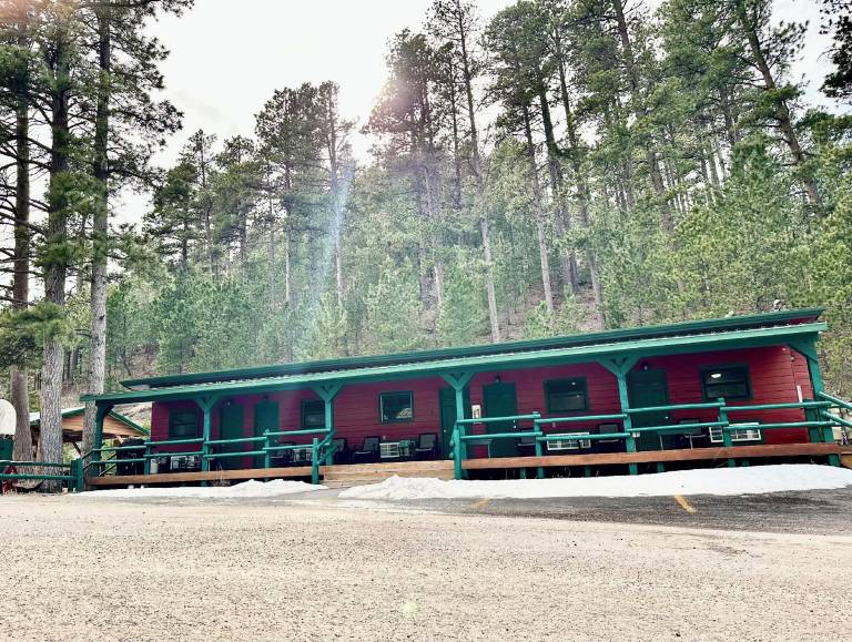 Ponderosa Pines — photo 3