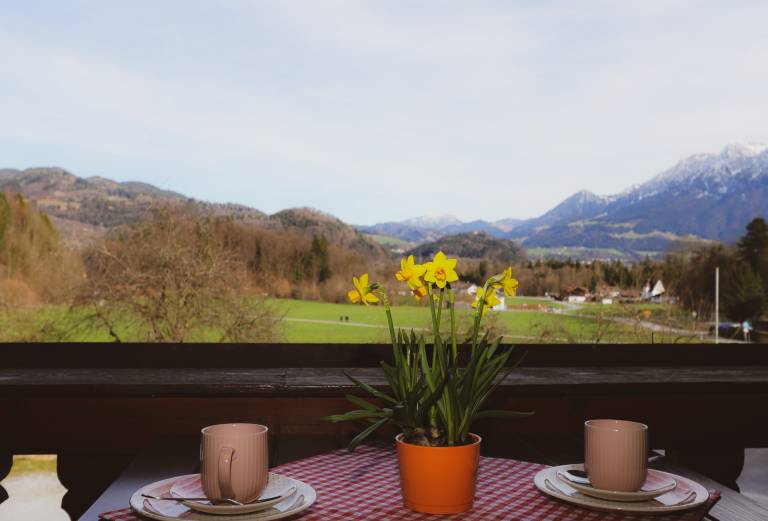 Ferienwohnung Bergblick 70qm mit Balkon