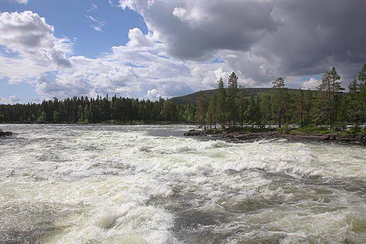 Ferienhaus mit Hund in Umeå, Mittelschweden für max. 2 Personen Ferienhaus mit Hund in Umeå, Mittelschweden für max. 2 Personen