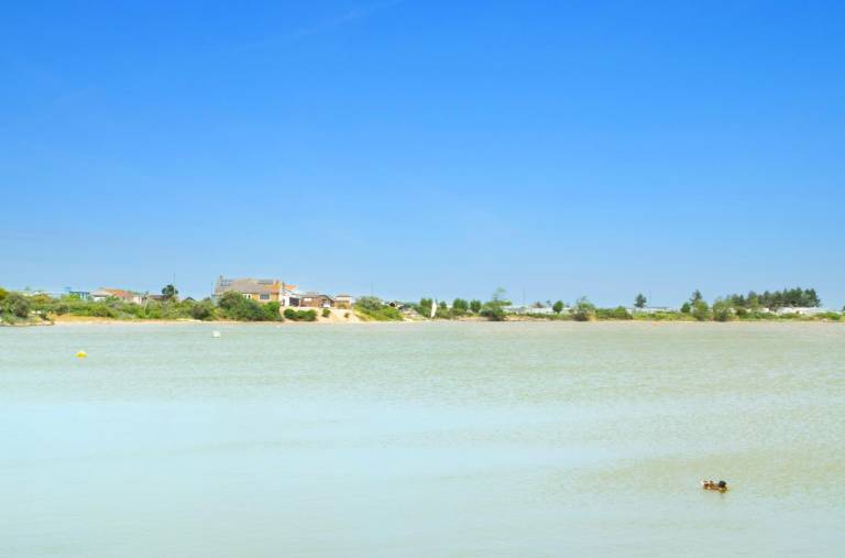 foto11