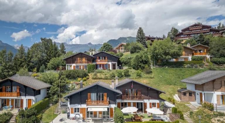 Cabane de la Delege -Crans Montana- Amazing Views — photo 4
