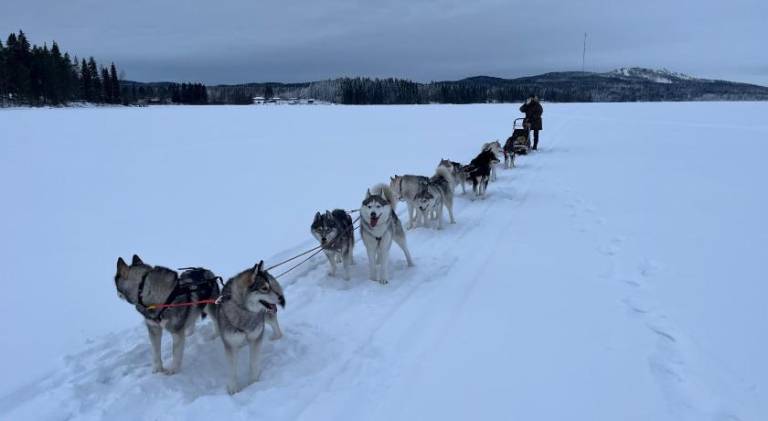 Charming holiday apartment with sauna, terrace & yard | Pet-friendly in Sotkamo