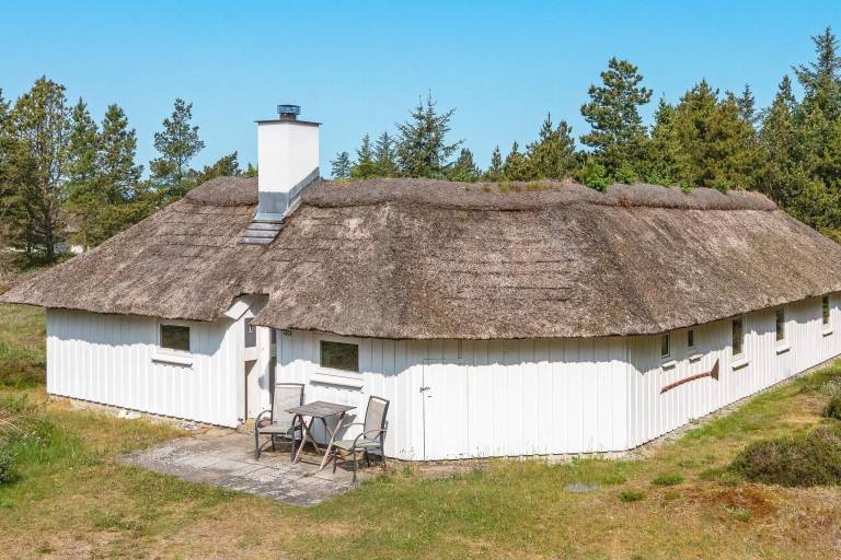 Ferienhaus Fjerritslev