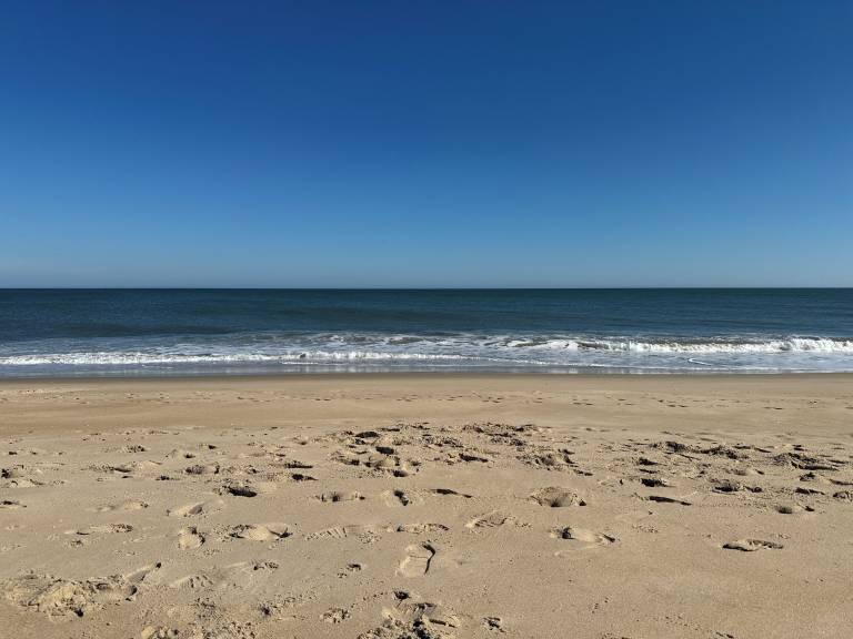 Cottage  Rehoboth Beach