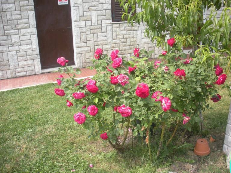 Farmhouse  Casamaggiore
