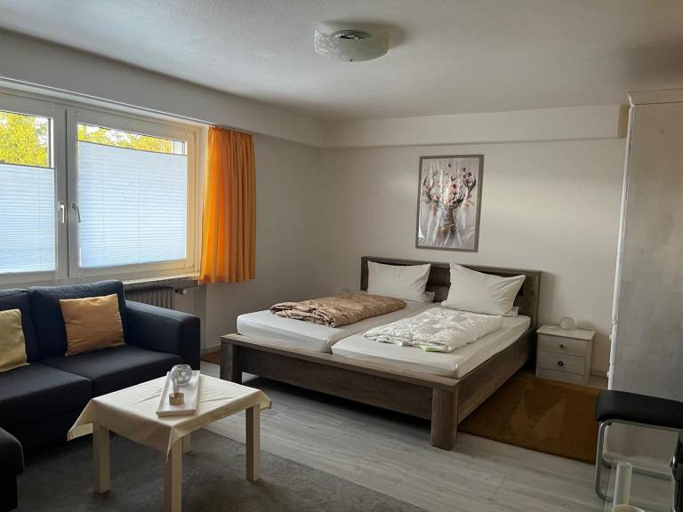 Children-friendly wonderful rental apartment with garden & terrace | Dogs allowed in Braunlage