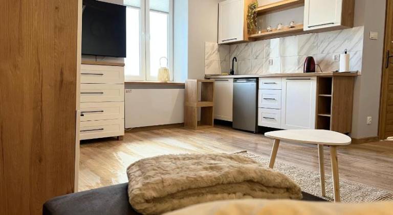 Charming apartment | Pets allowed in Lódz