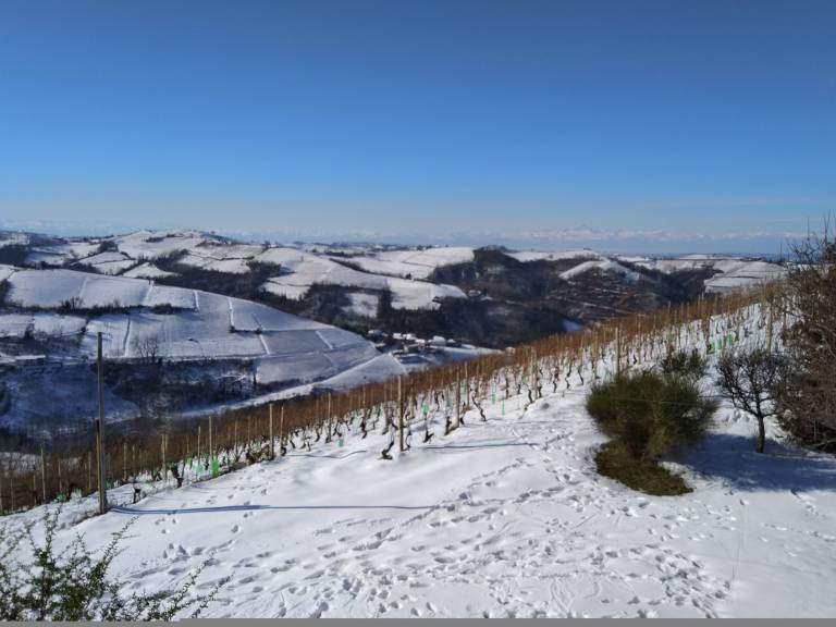 foto40
