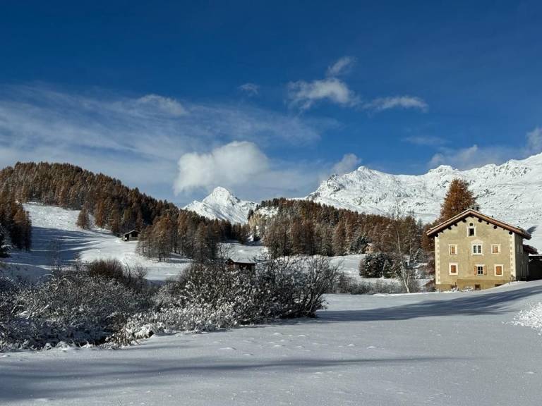 Ferienhaus Sils im Engadin