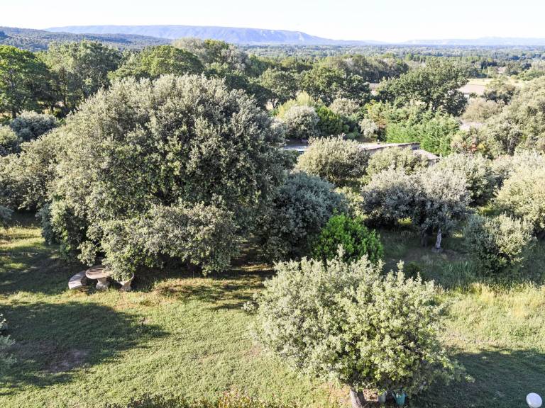 foto40