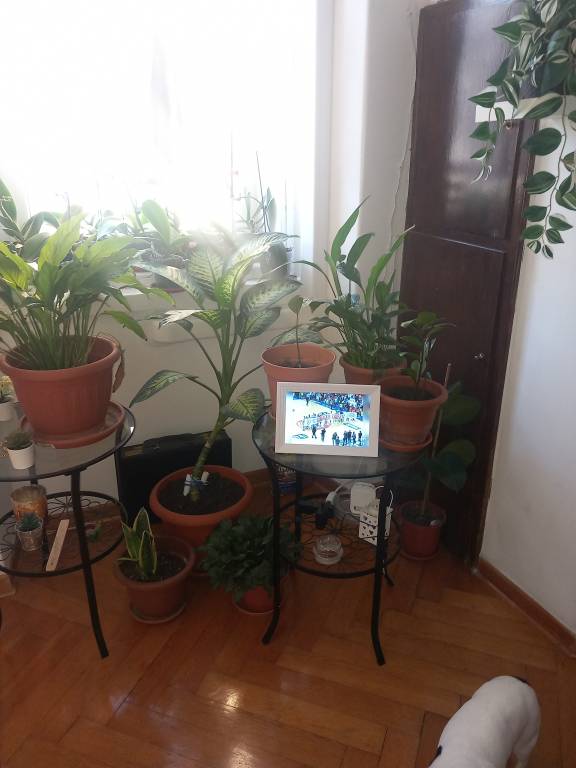 foto2