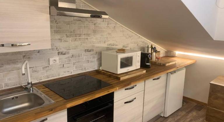 Apartment with 1 room for 4 persons — photo 4