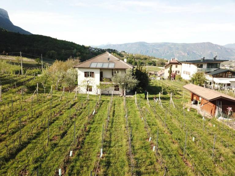 Apartment 'Weingut Hochleiten' with Mountain View, Balcony and Wi-Fi — photo 3