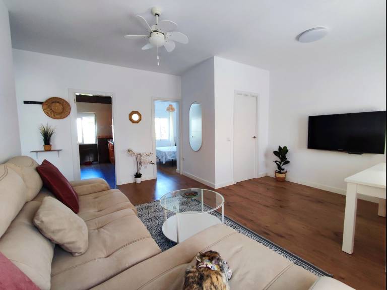 Lovely rental apartment | Pets are welcome — photo 4