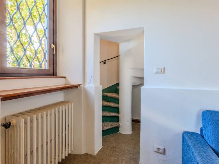 foto19