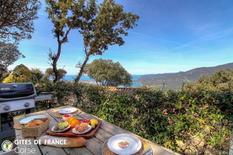 Gite with garden, grill & patio | Sea view — photo 3