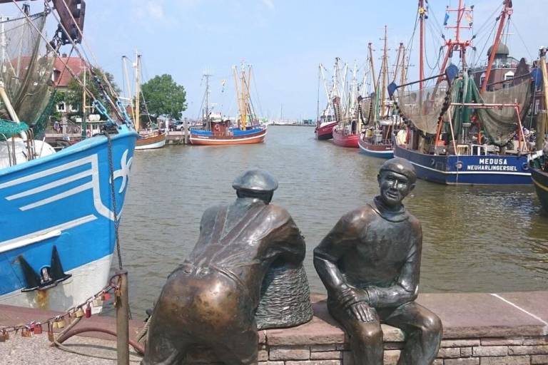 foto13