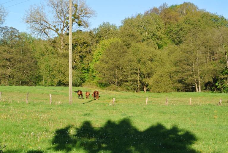 foto11