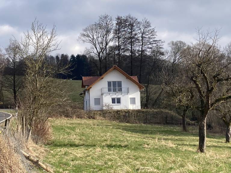 foto1